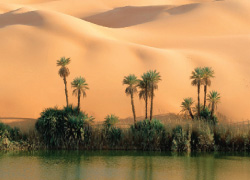 المجلة العربية :: موضوعات العدد